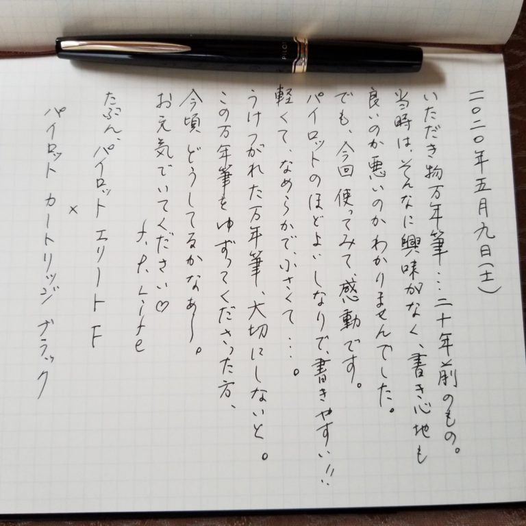 パイロット エリート たぶんF